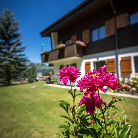 Chalet Adler *