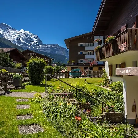 Chalet Adler *